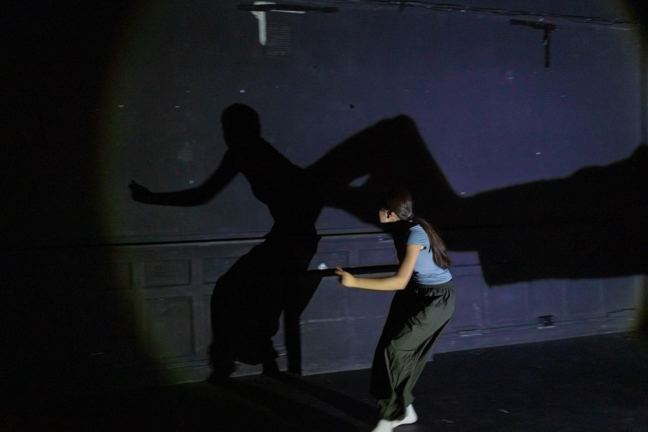 A performer leans into her own towering shadow during a moment of shadow play.